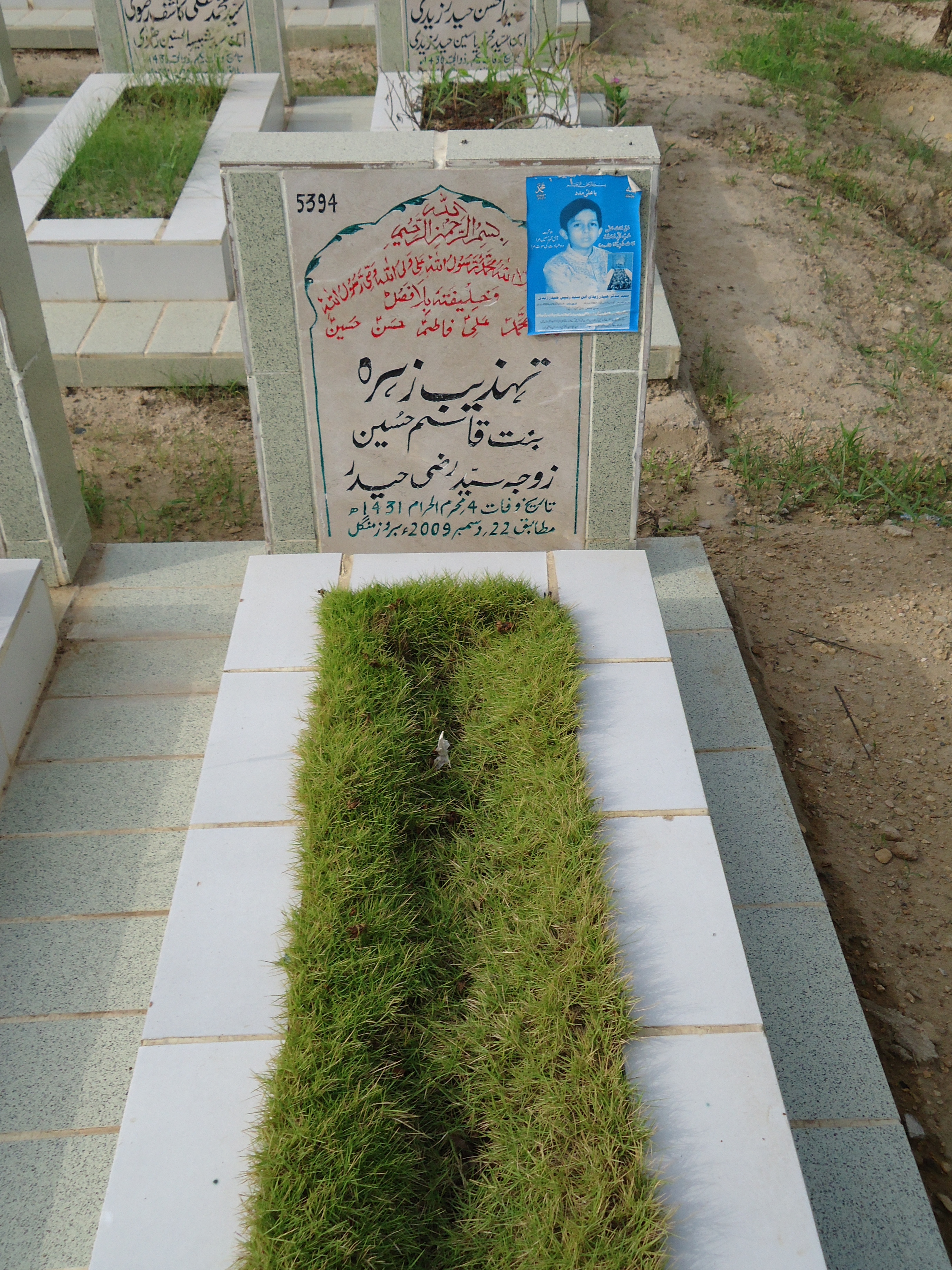 5394 – Tehzeeb Zehra